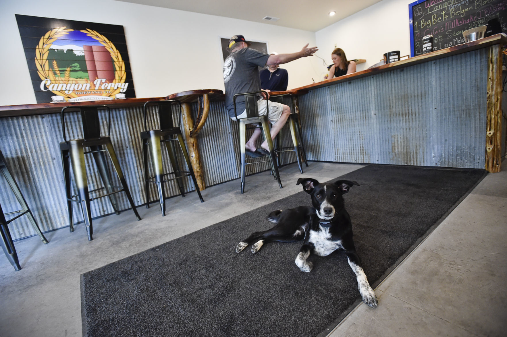 Rosie, the brewery's "head of security,"